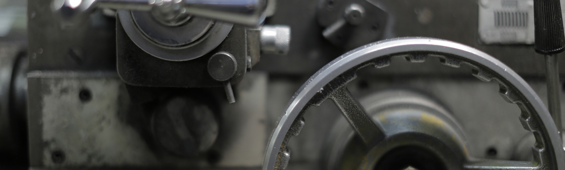MG 8194